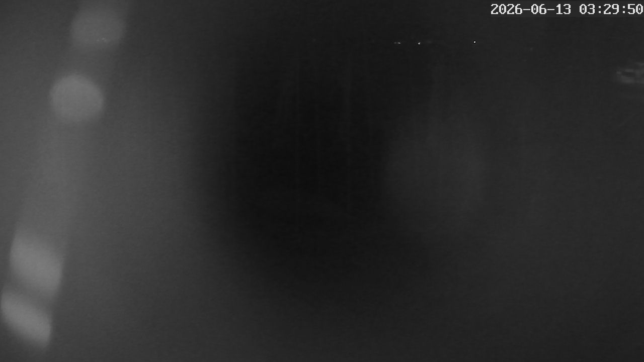 MRSV Bayern Webcam