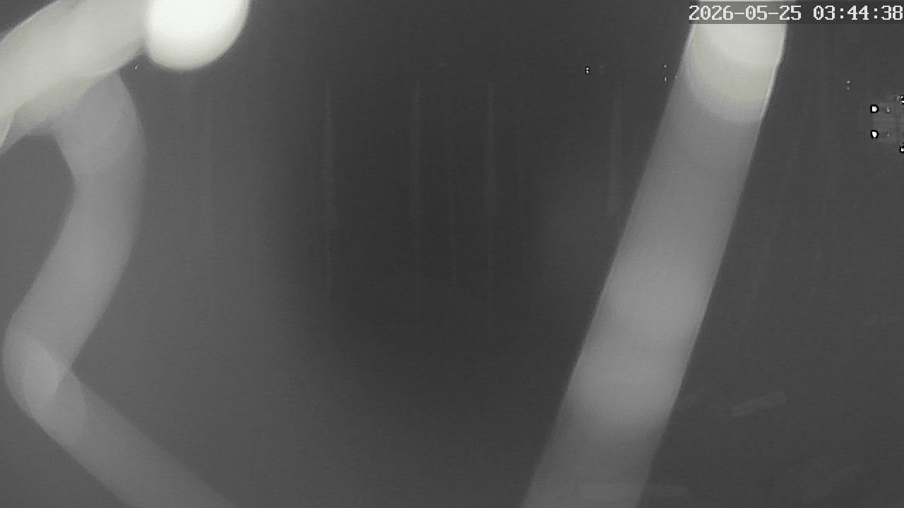 MRSV Bayern Webcam