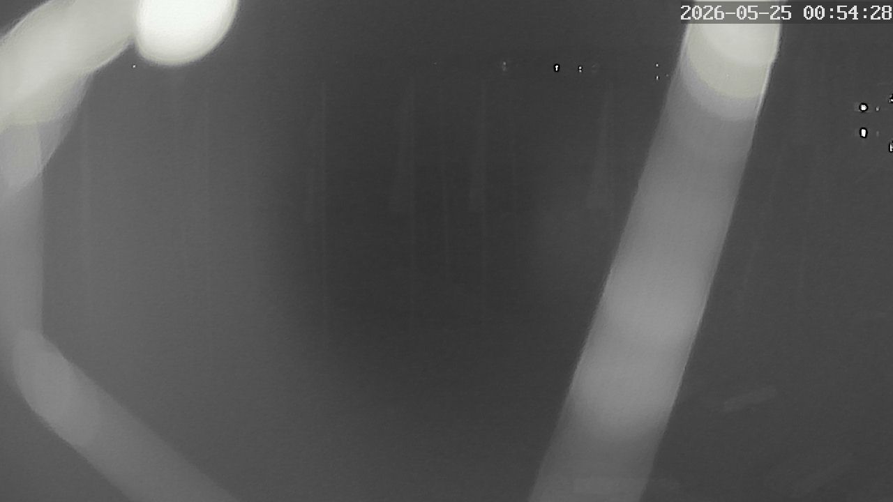 MRSV Bayern Webcam