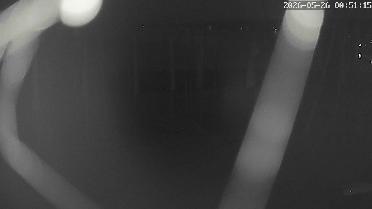 MRSV Bayern Webcam