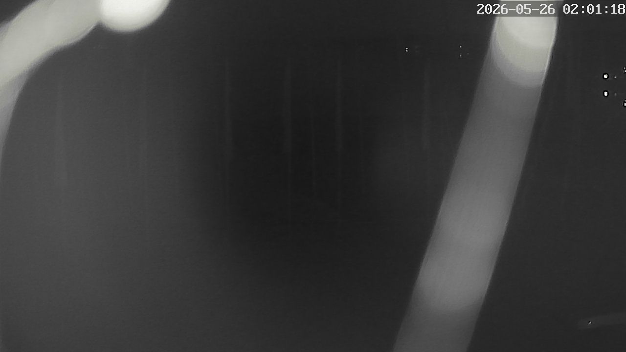MRSV Bayern Webcam