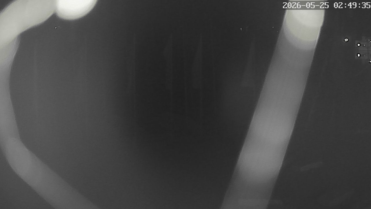 MRSV Bayern Webcam