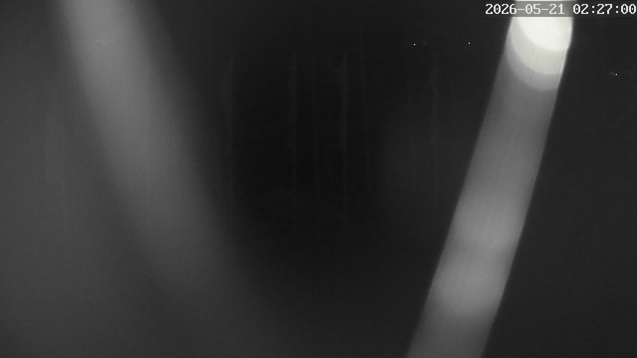 MRSV Bayern Webcam