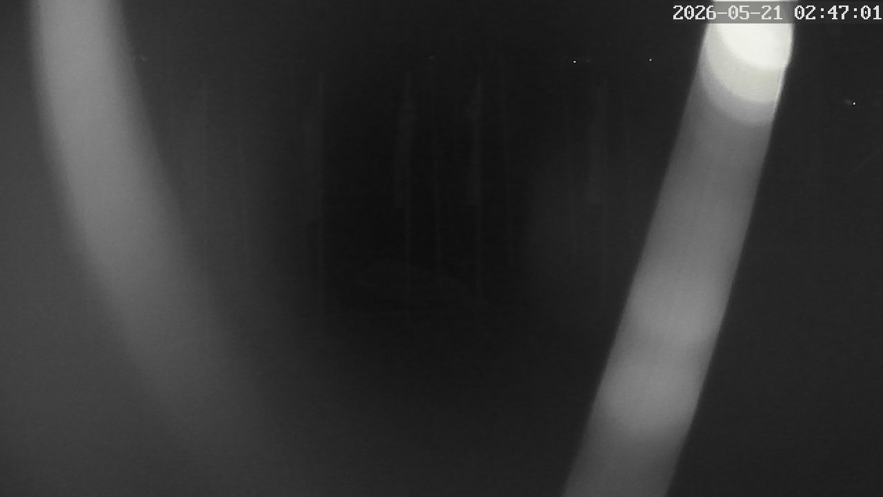 MRSV Bayern Webcam