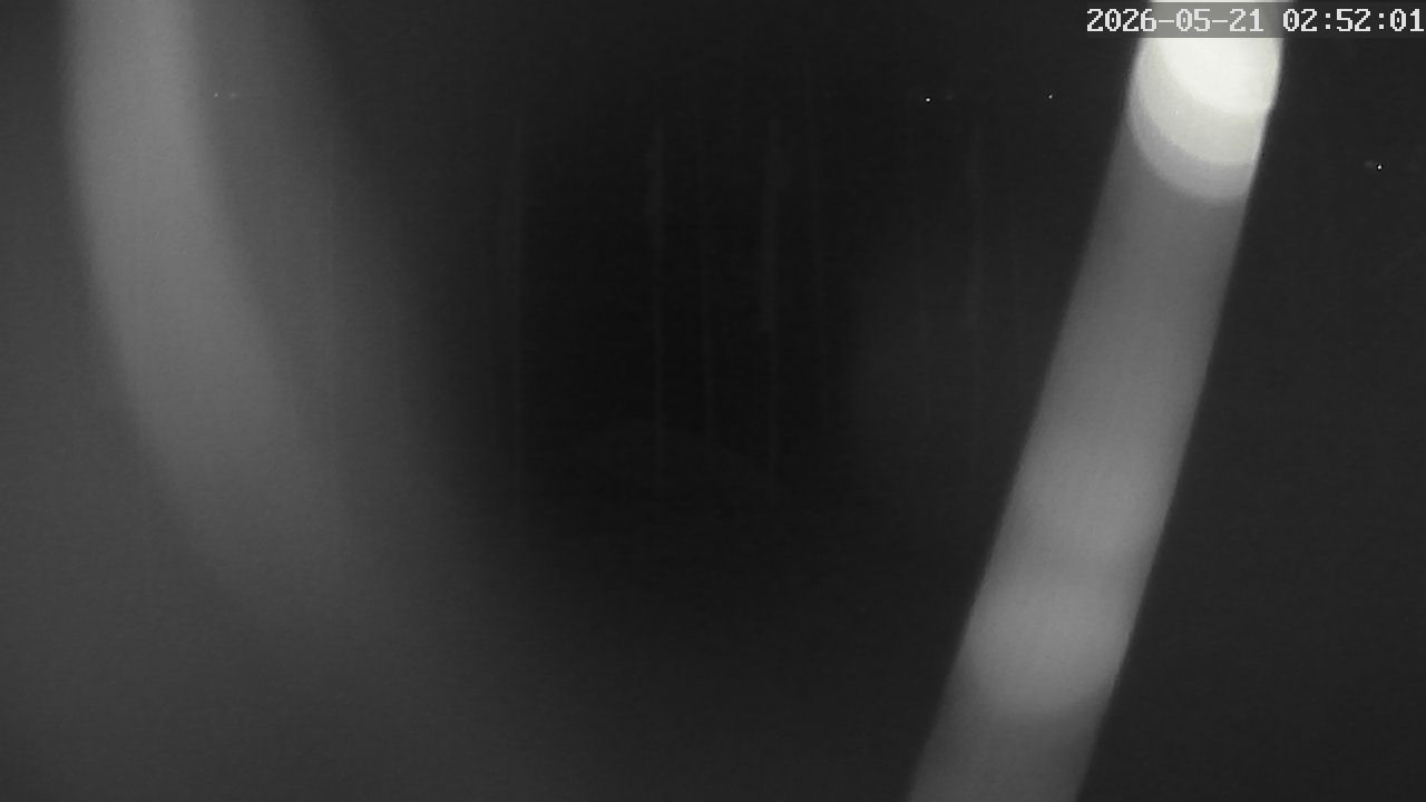MRSV Bayern Webcam