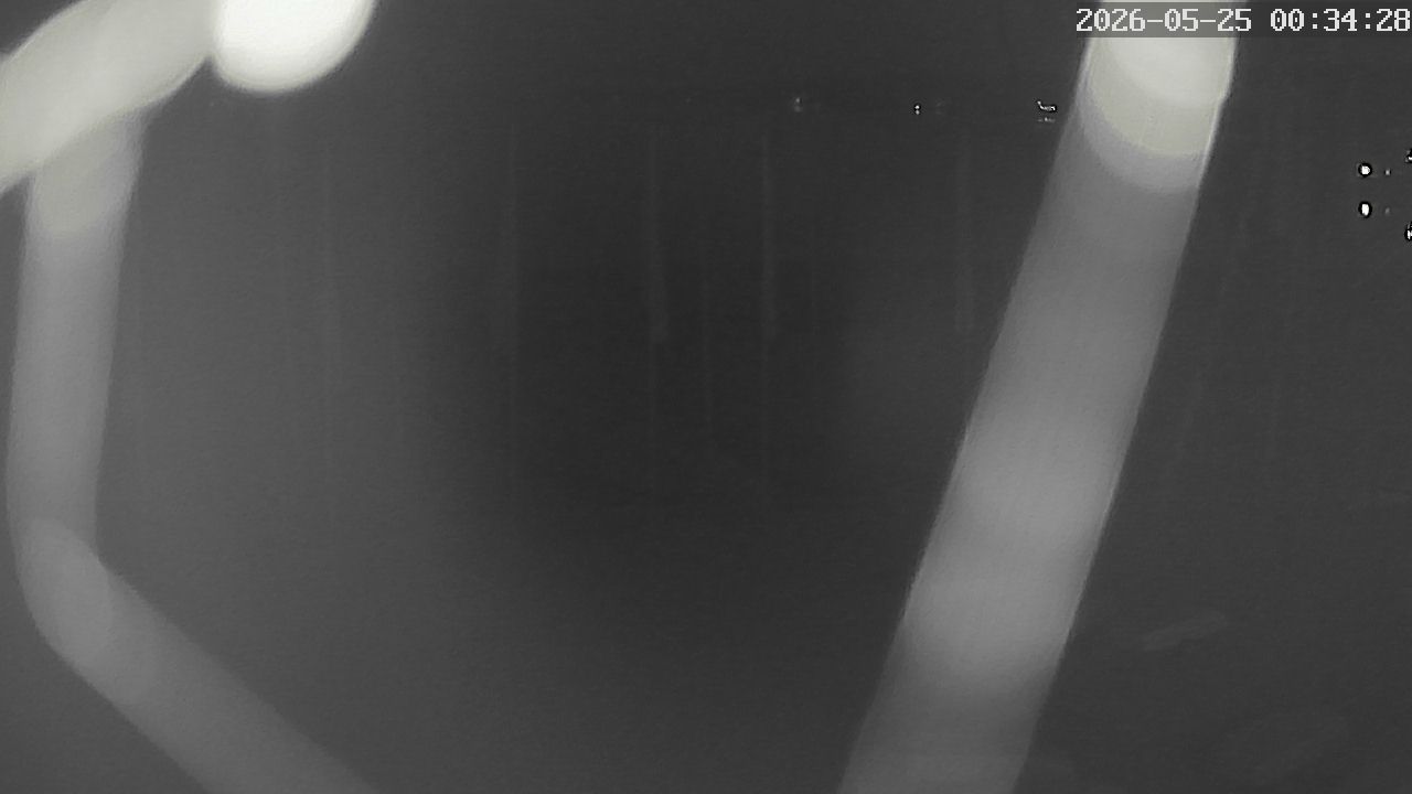 MRSV Bayern Webcam