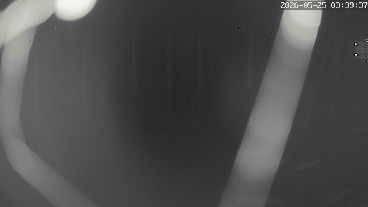 MRSV Bayern Webcam