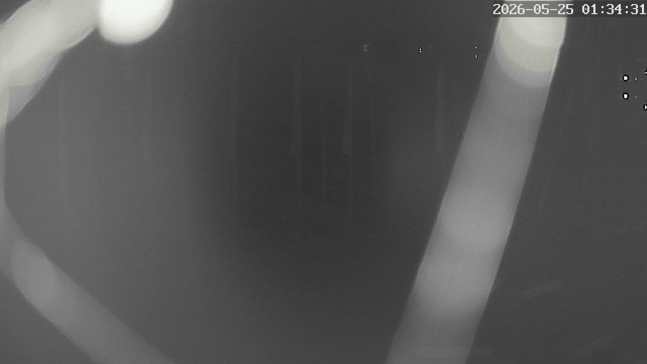 MRSV Bayern Webcam