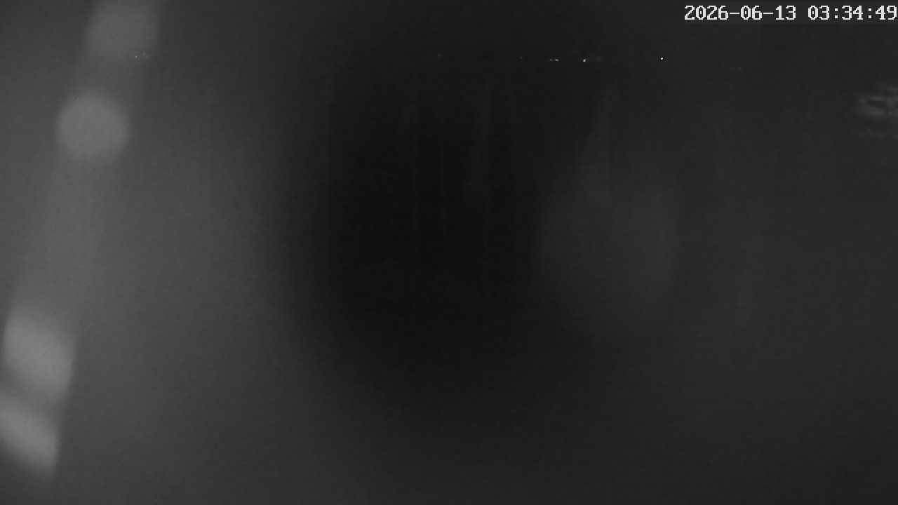MRSV Bayern Webcam