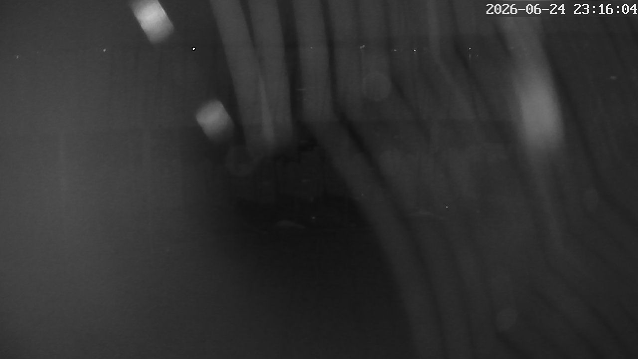 MRSV Bayern Webcam