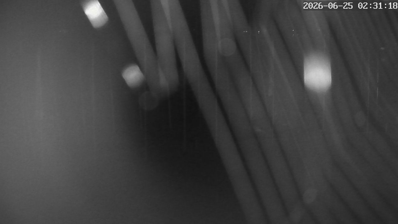 MRSV Bayern Webcam