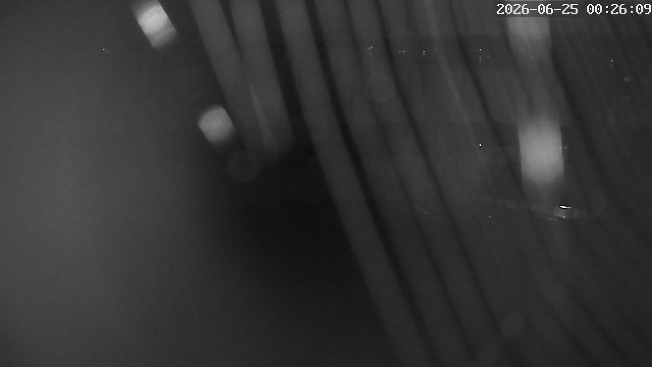 MRSV Bayern Webcam