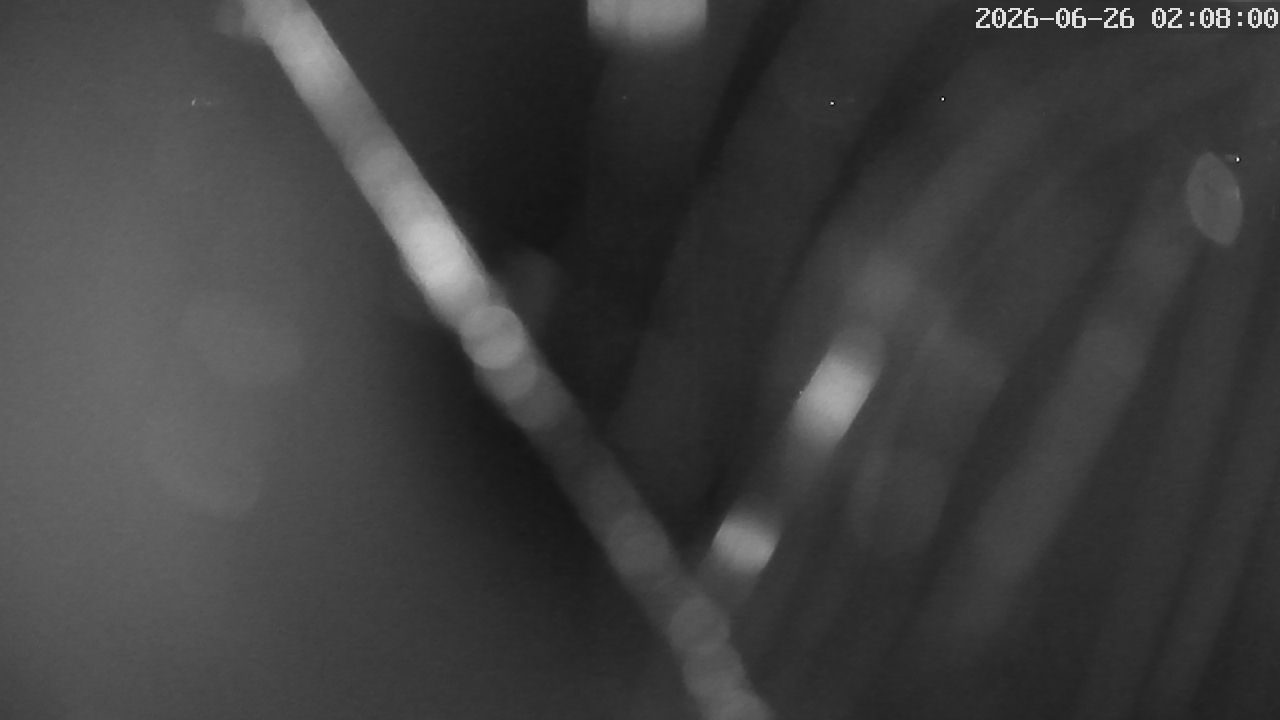 MRSV Bayern Webcam