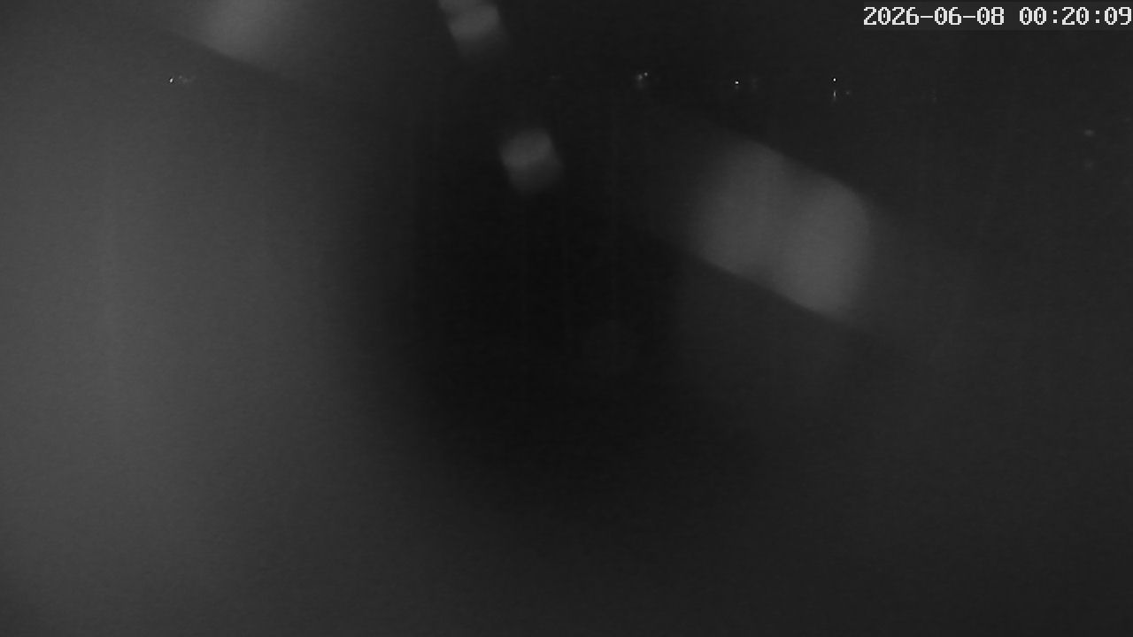 MRSV Bayern Webcam