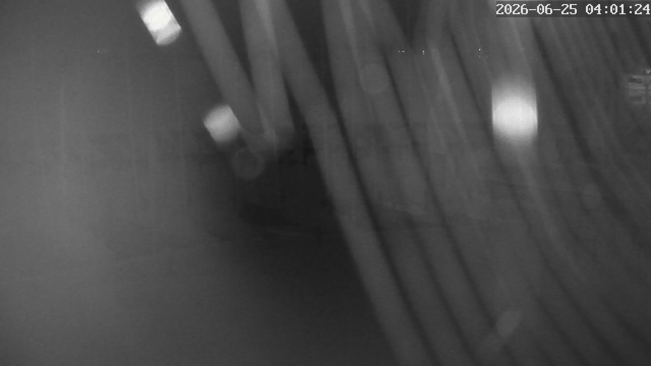 MRSV Bayern Webcam