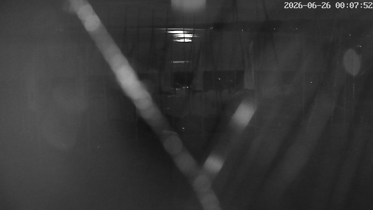 MRSV Bayern Webcam