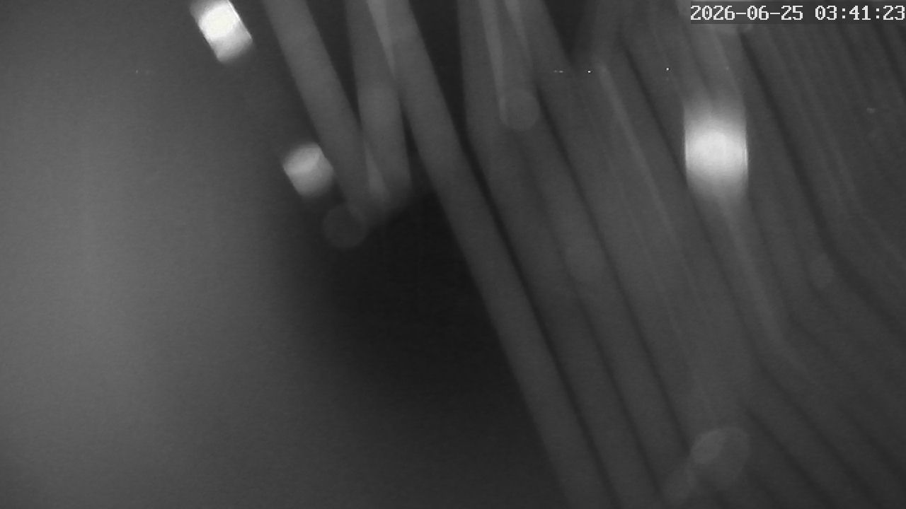 MRSV Bayern Webcam