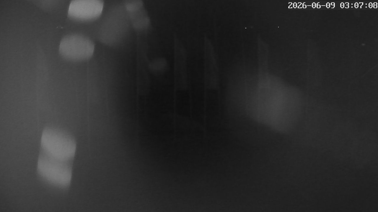 MRSV Bayern Webcam