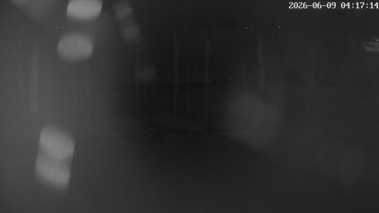 MRSV Bayern Webcam
