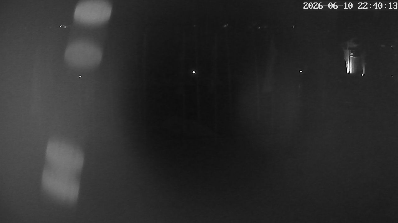 MRSV Bayern Webcam