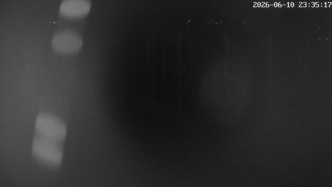 MRSV Bayern Webcam