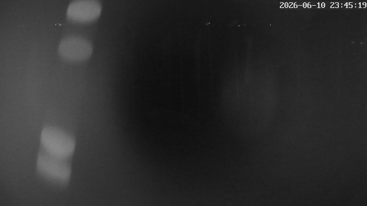 MRSV Bayern Webcam