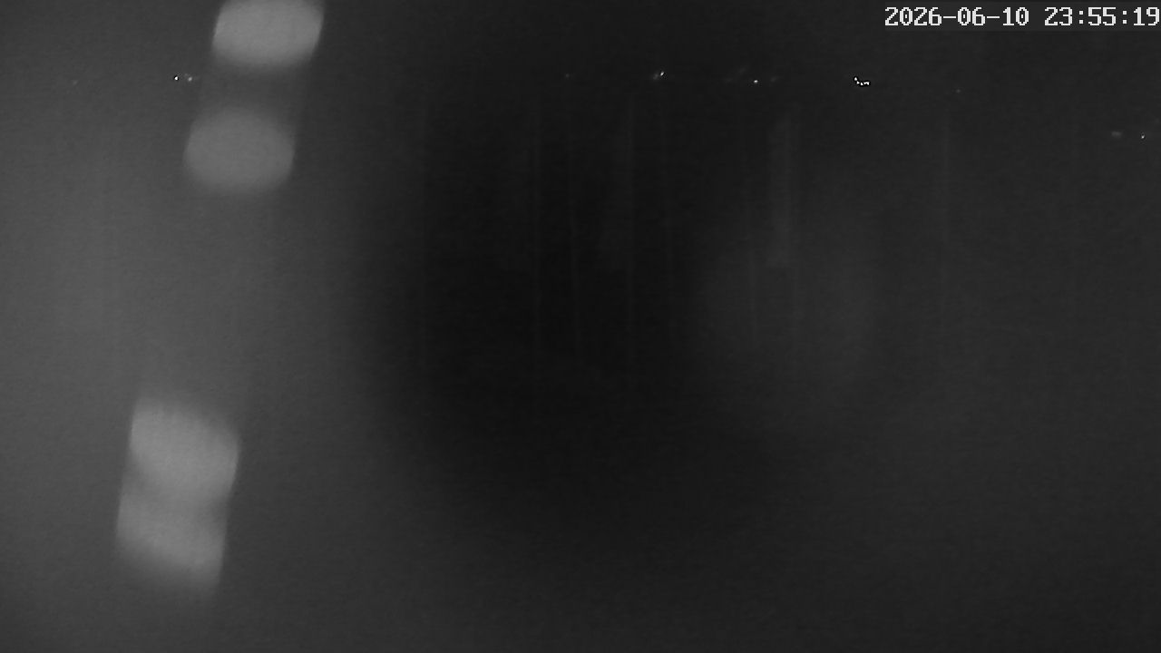 MRSV Bayern Webcam