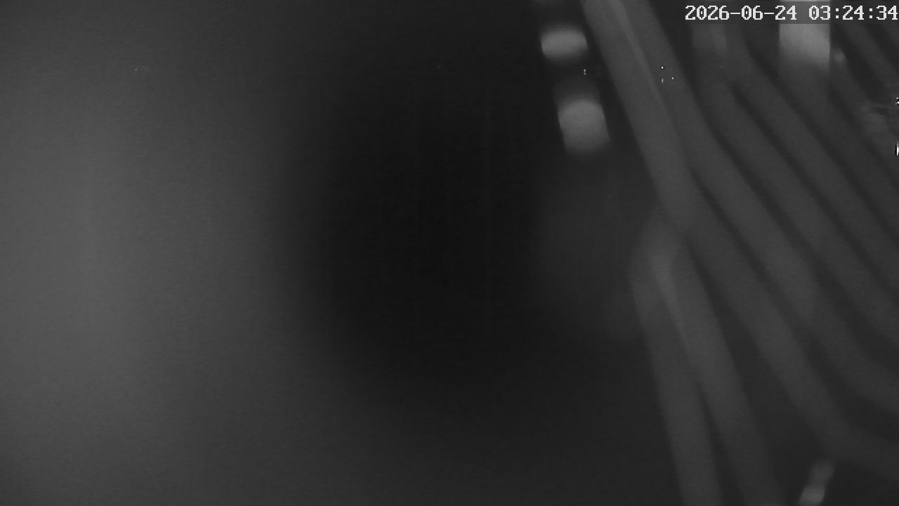 MRSV Bayern Webcam
