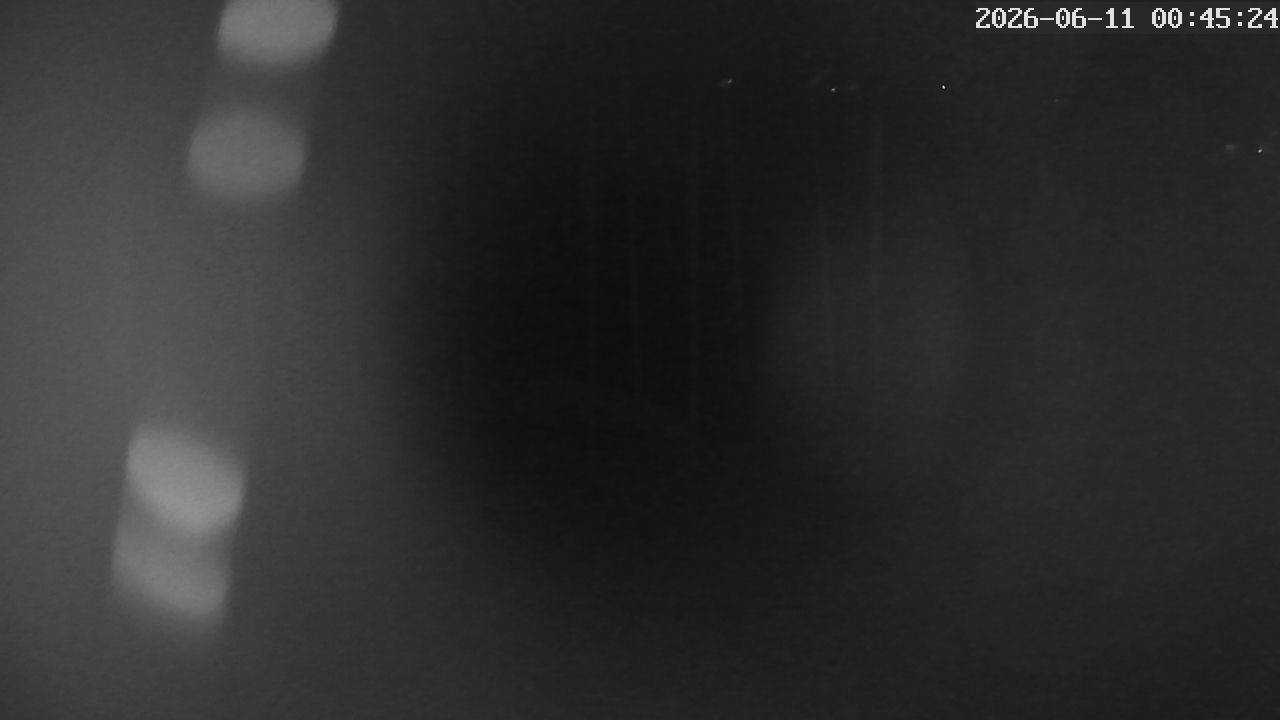 MRSV Bayern Webcam