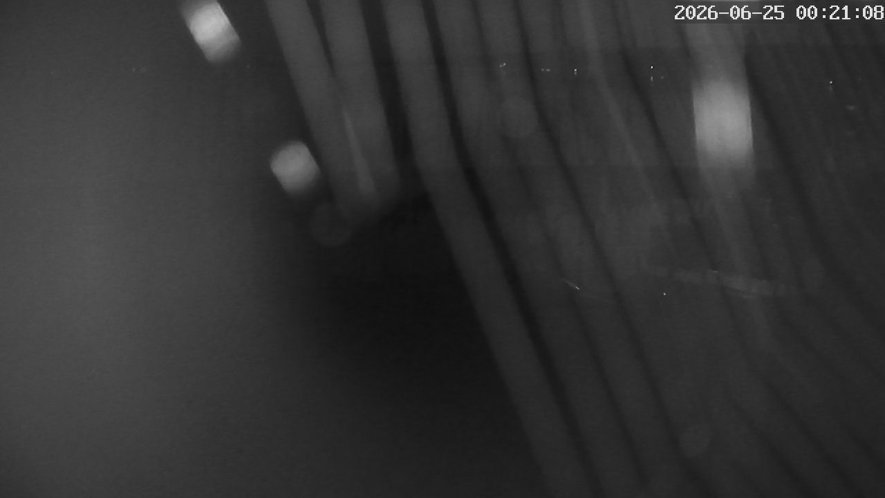 MRSV Bayern Webcam
