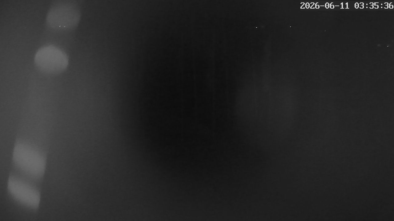 MRSV Bayern Webcam