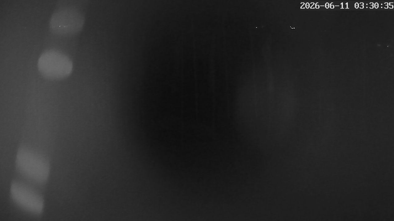 MRSV Bayern Webcam