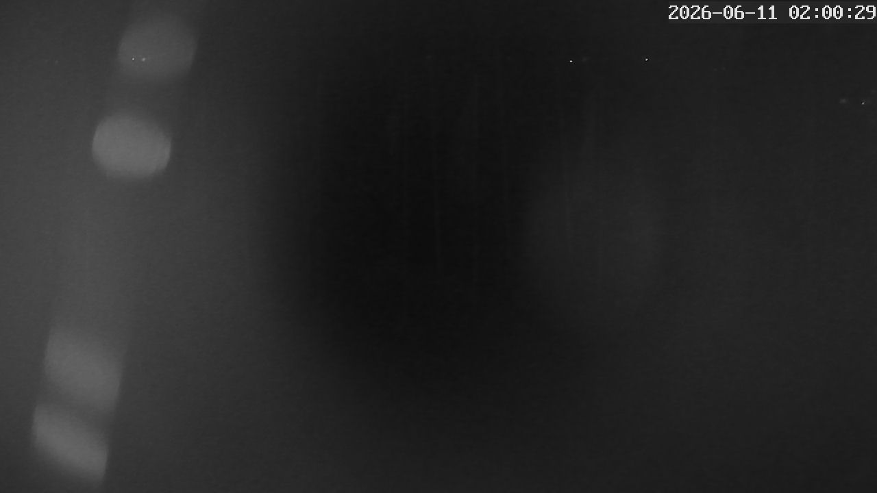 MRSV Bayern Webcam