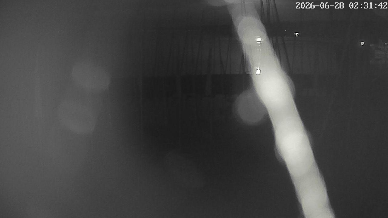 MRSV Bayern Webcam