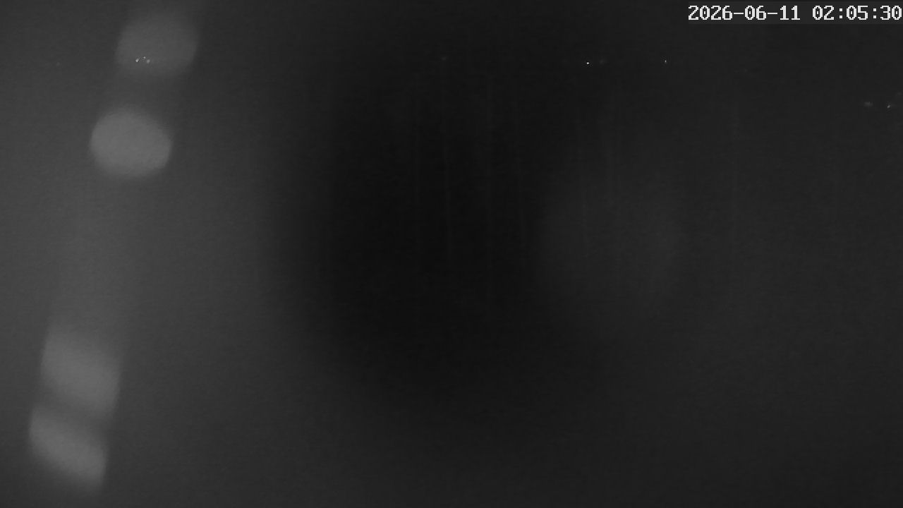 MRSV Bayern Webcam