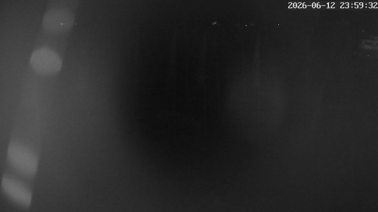 MRSV Bayern Webcam