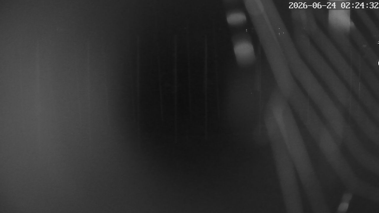 MRSV Bayern Webcam