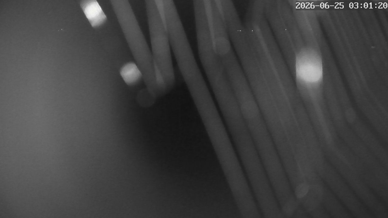 MRSV Bayern Webcam