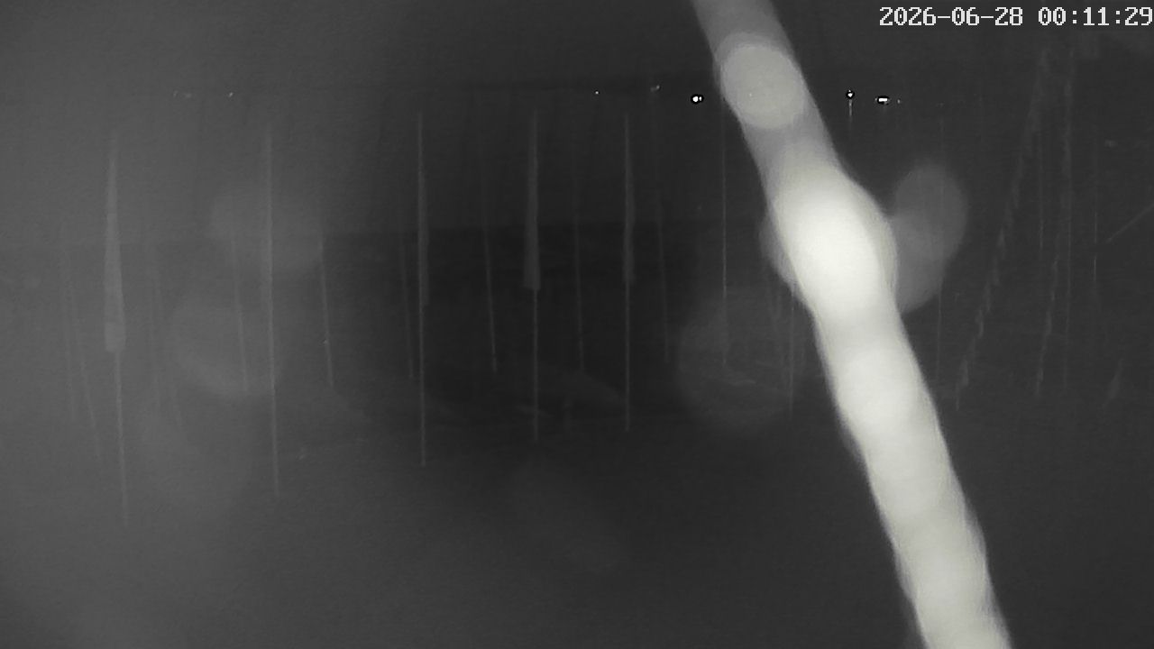 MRSV Bayern Webcam