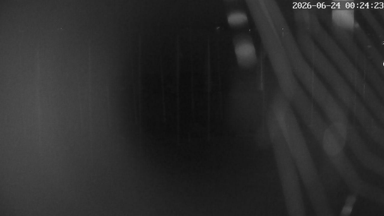 MRSV Bayern Webcam