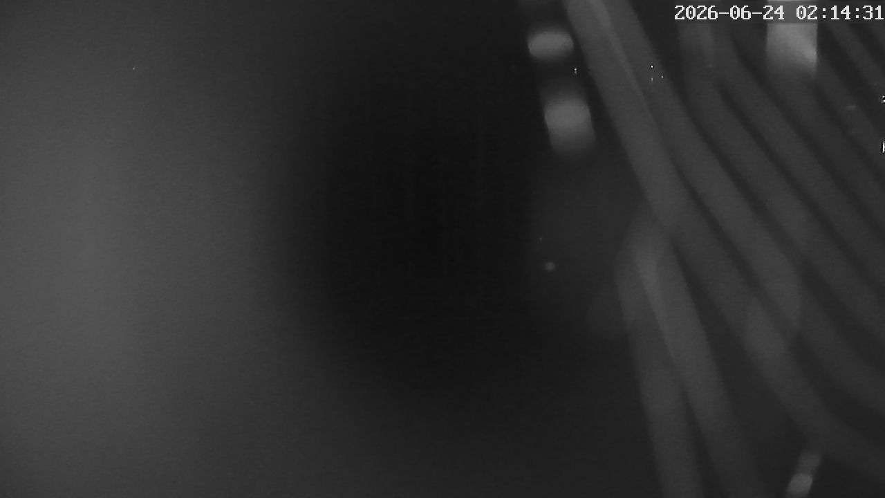 MRSV Bayern Webcam