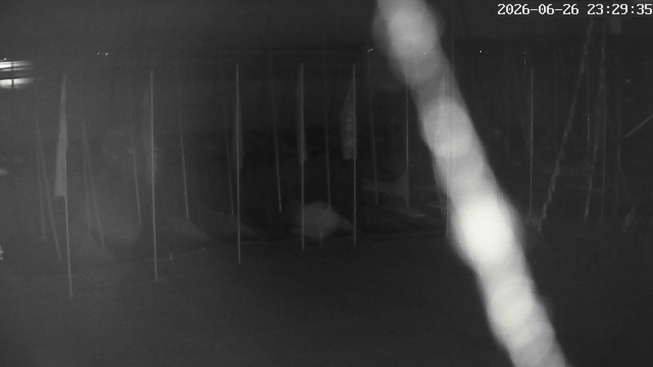 MRSV Bayern Webcam