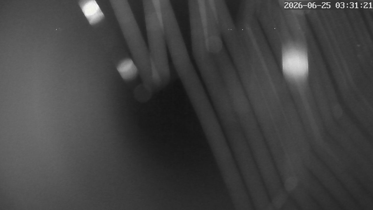 MRSV Bayern Webcam