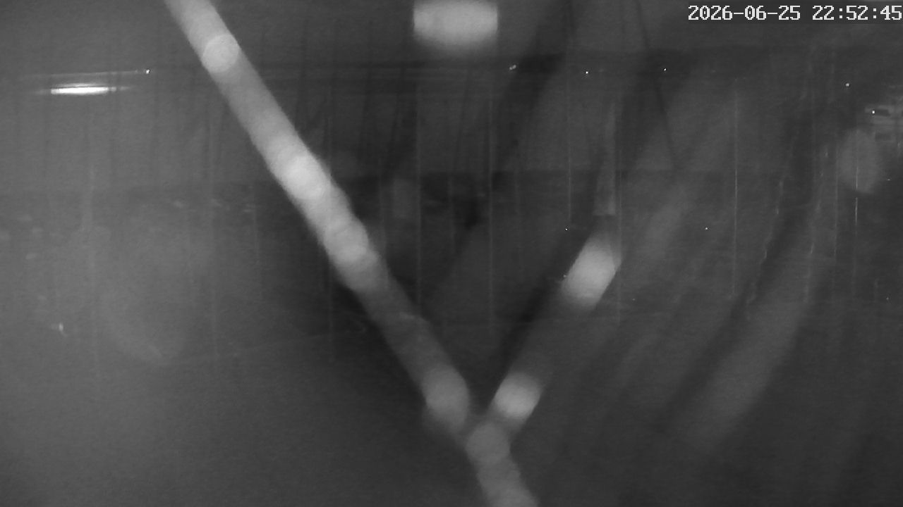 MRSV Bayern Webcam