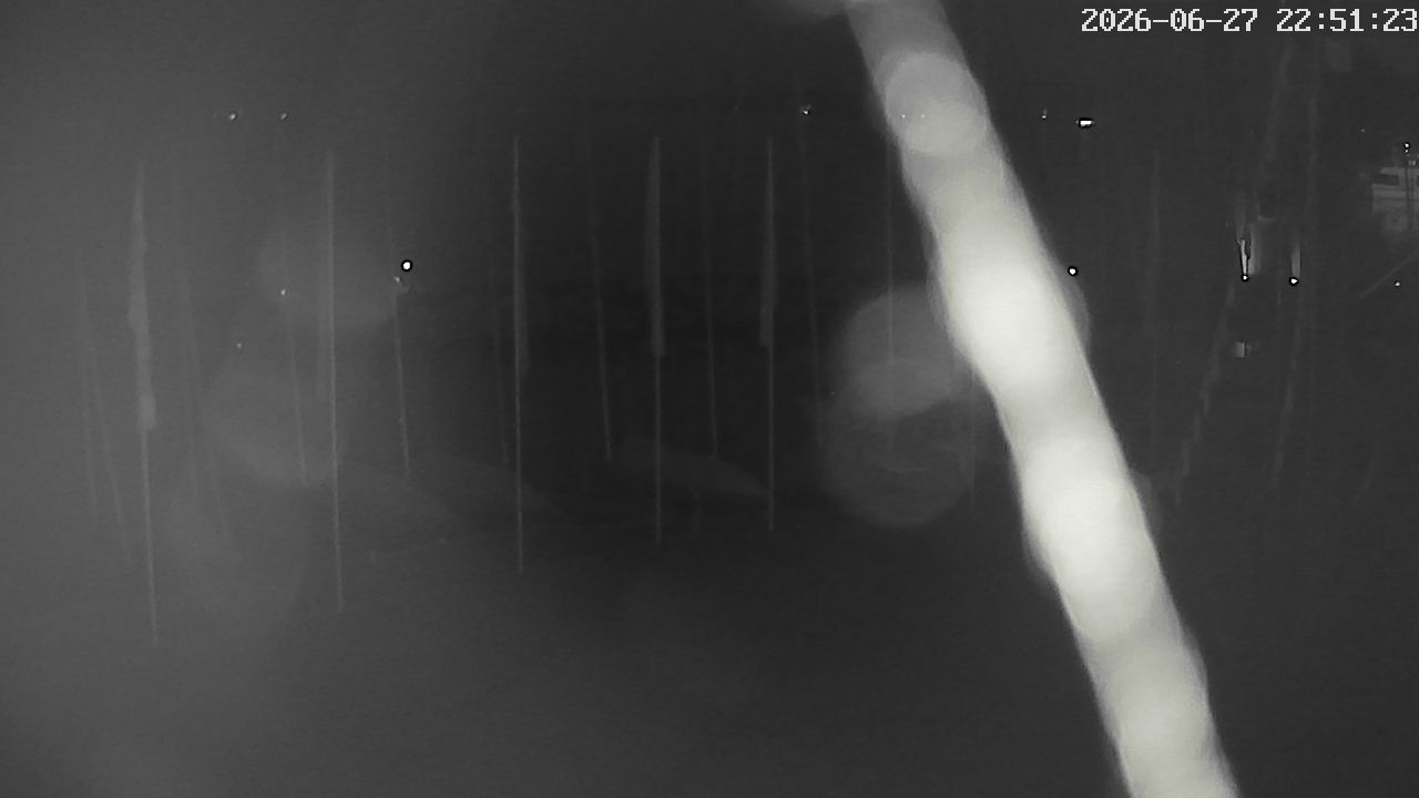 MRSV Bayern Webcam