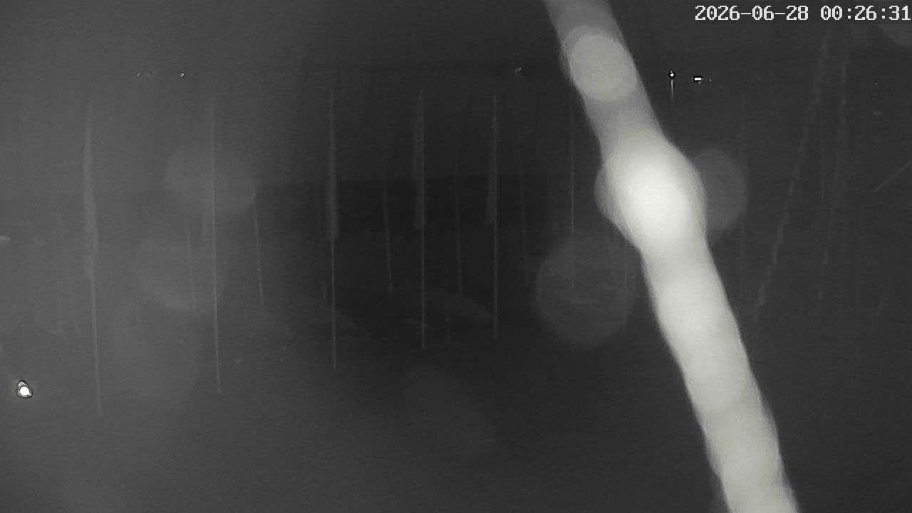 MRSV Bayern Webcam