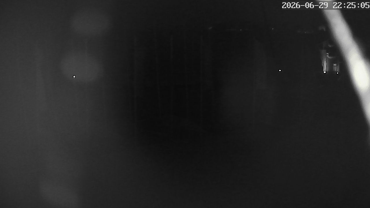 MRSV Bayern Webcam