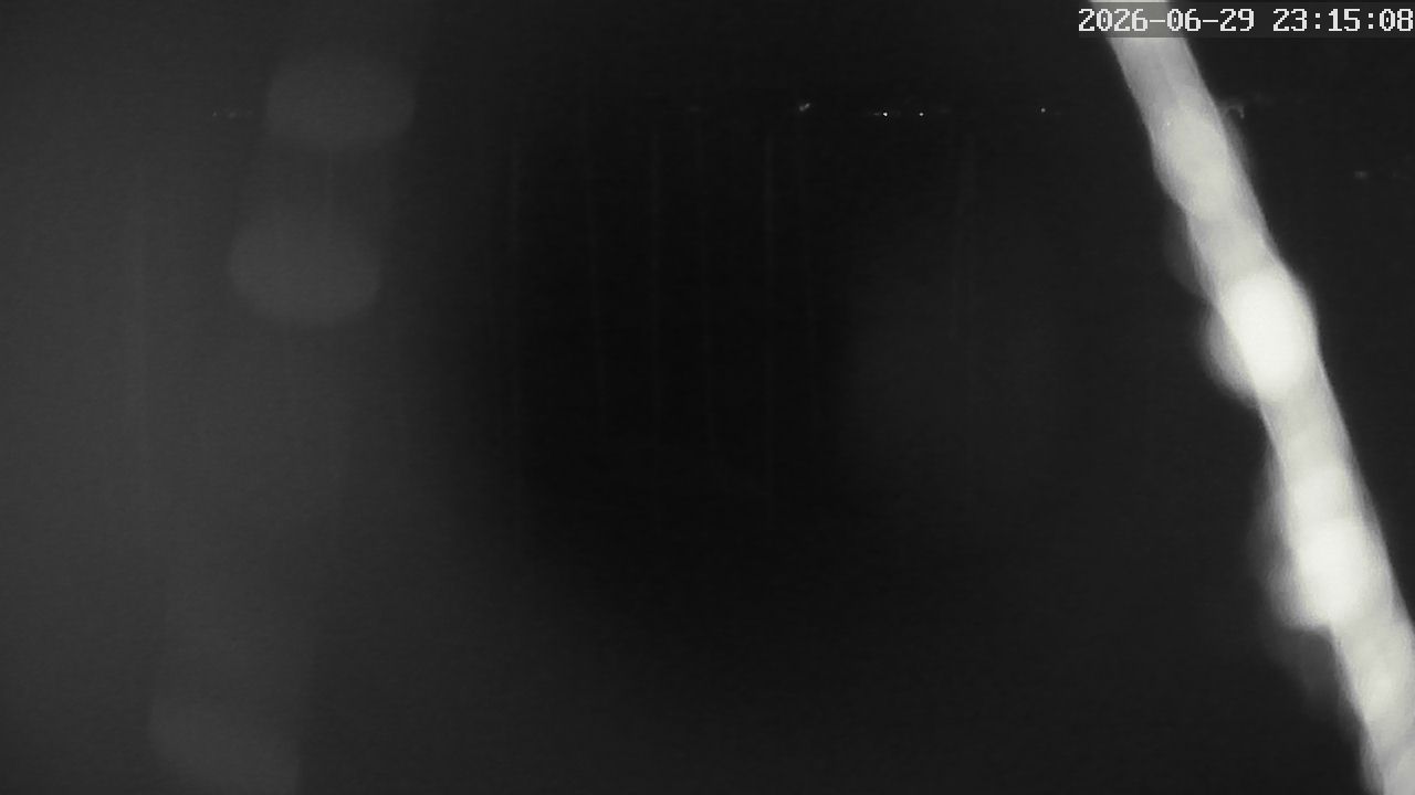 MRSV Bayern Webcam