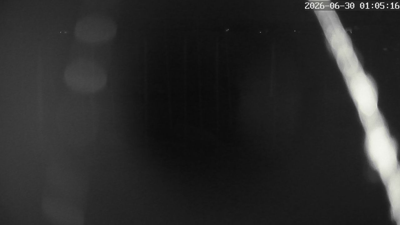MRSV Bayern Webcam