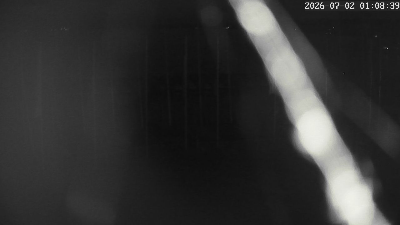 MRSV Bayern Webcam